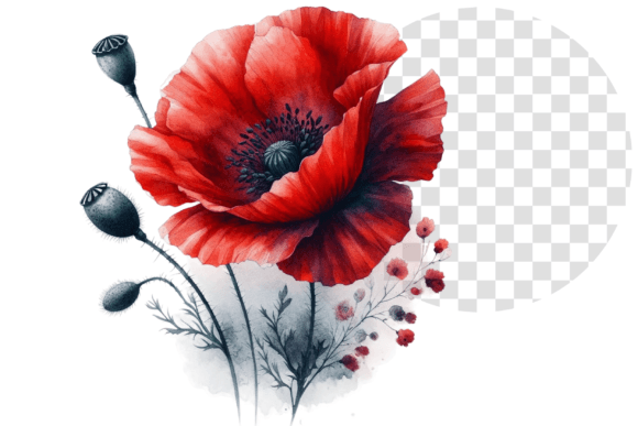 Download Poppify Watercolor Red Poppy Clipart - Clipart Collection