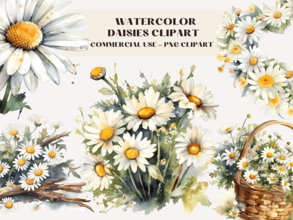 Download Watercolour Daisies Clipart Illustration - Clipart Collection