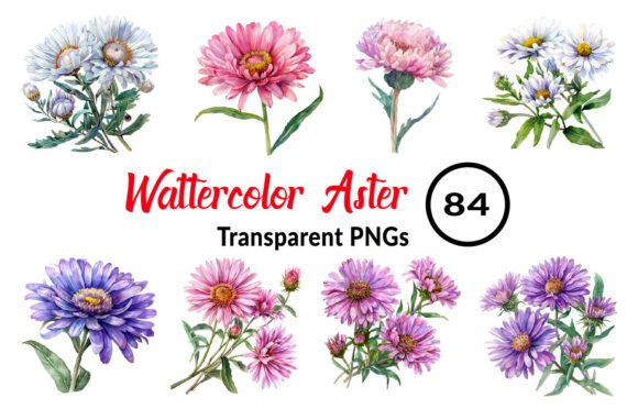 Download Watercolor Aster Flower Clipart - Clipart Collection