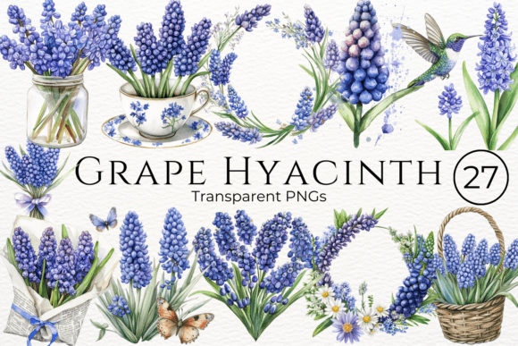 Download Grape Hyacinth Watercolor Cliparts - Clipart Collection