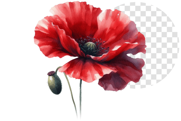 Download Poppify Watercolor Red Poppy Clipart - Clipart Collection