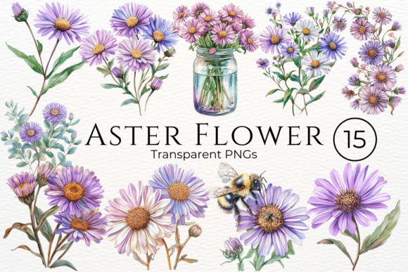 Download Aster Flower Watercolor Cliparts - Clipart Collection