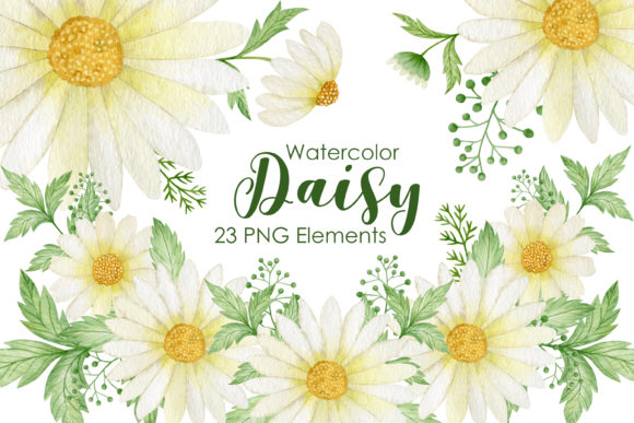 Download Watercolor Daisy Clipart - Clipart Collection