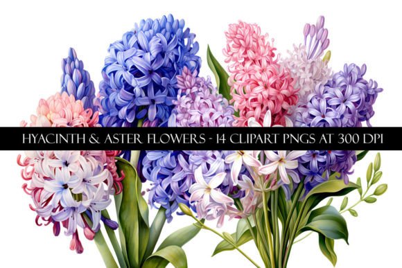 Download Hyacinth and Aster Flower Clipart - Clipart Collection