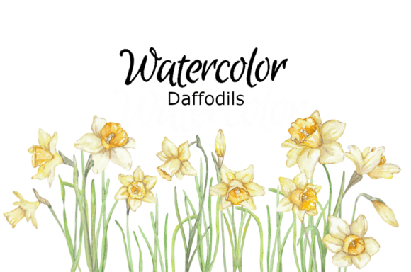 Download Daffodils Watercolor Clipart - Clipart Collection