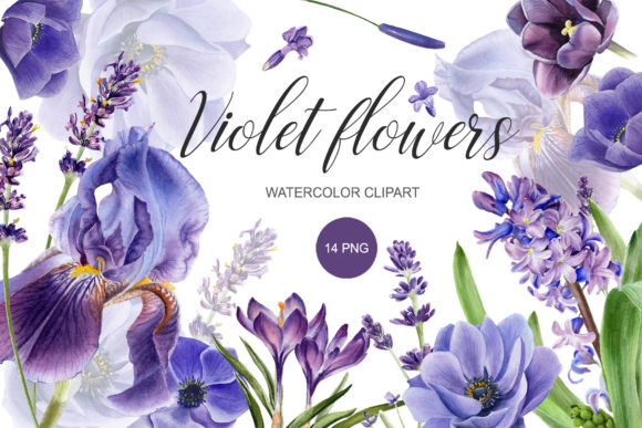Download Watercolor Purple Flower Clipart. PNG - Clipart Collection