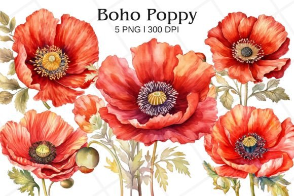 Download Boho Poppy Watercolor Clipart - Clipart Collection