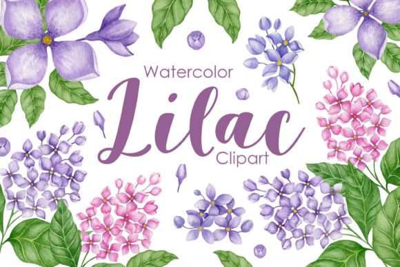 Download Watercolor Lilac Clipart - Clipart Collection