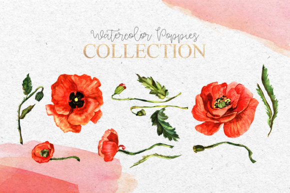 Download Red Poppies Flowers Clipart Watercolor - Clipart Collection