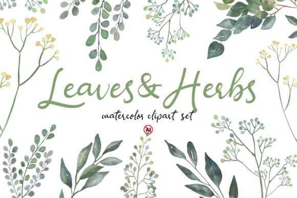 Download Watercolor Leaves &amp; Herbs Clipart Set - Clipart Collection